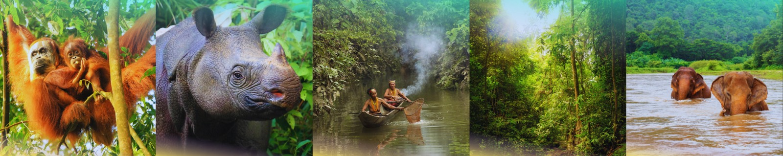 🌿 22 MAI – JOURNÉE MONDIALE DE LA BIODIVERSITÉ 🌍